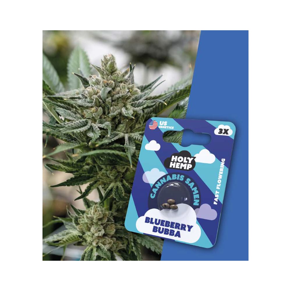 Blueberry Bubba Fast-Flowering Cannabis Samen (20-25% THC) Produktcover