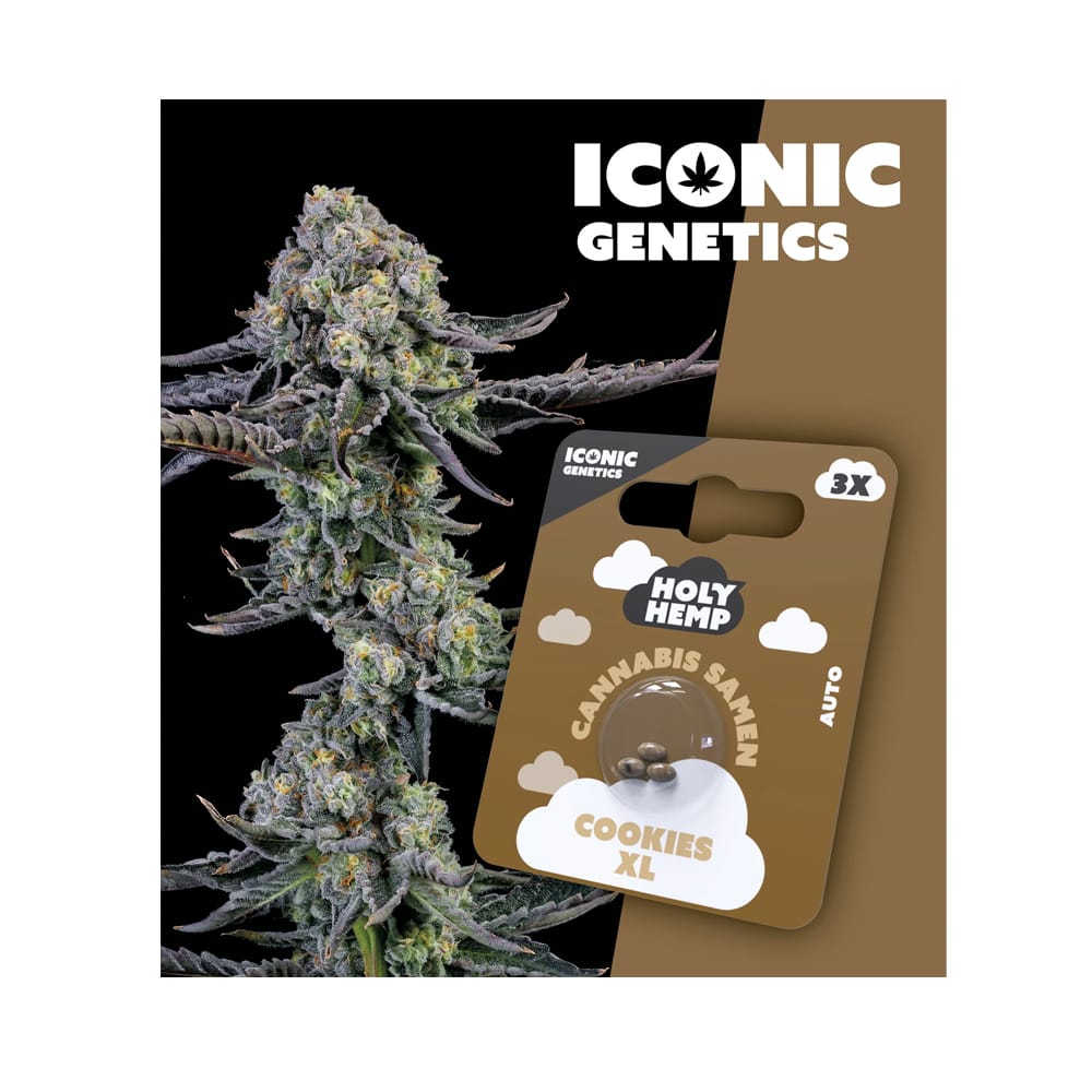 Cookies XL Autoflowering Iconic Samen (15-20% THC) Produktcover