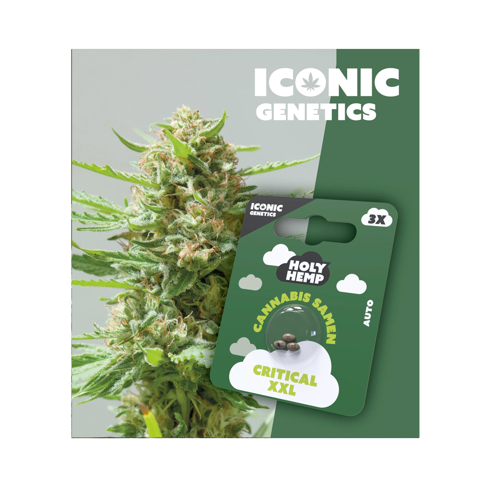 Critical XXL Autoflowering Iconic Samen (20-25% THC) Produktcover