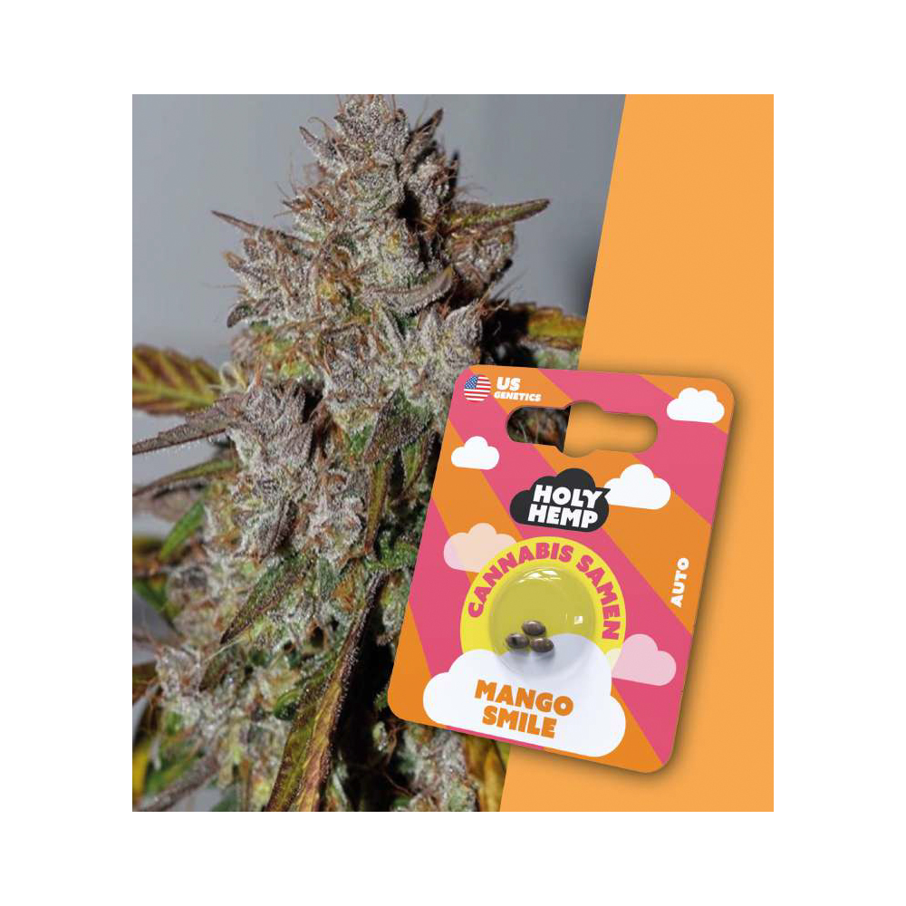 Mango Smile Autoflowering Cannabis Samen (20-25% THC) Produktcover