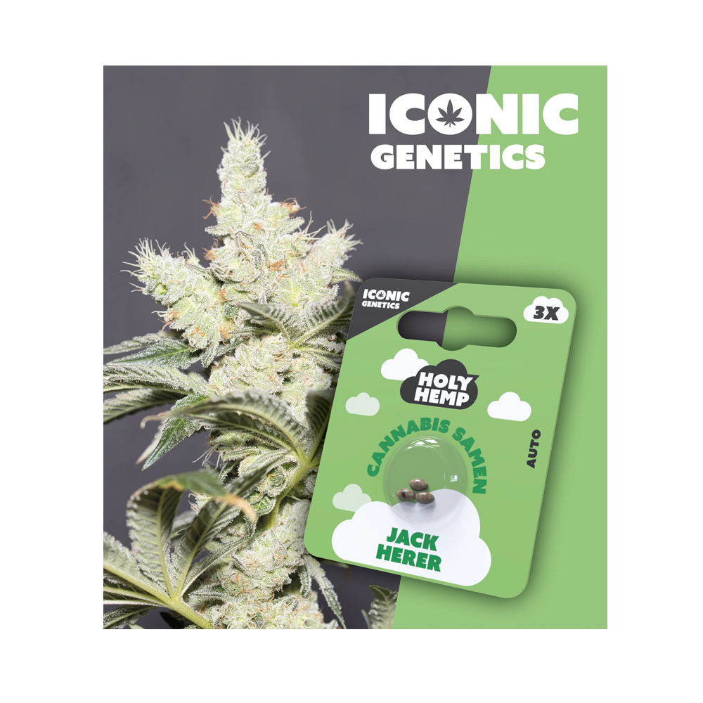 Jack Herer Autoflowering Iconic Samen (15-20% THC) Produktcover