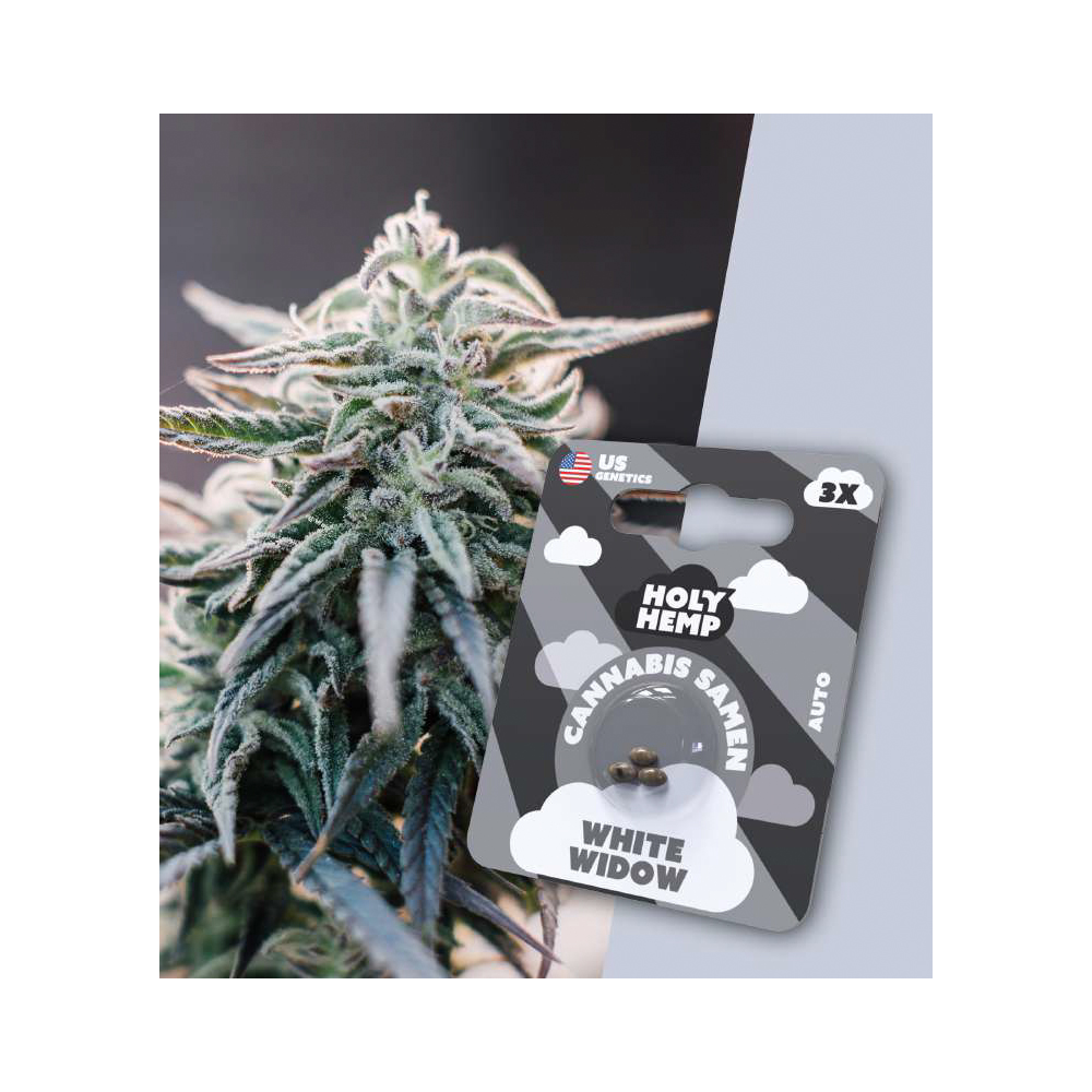White Widow Autoflowering Cannabis Samen (20-25% THC) Produktcover