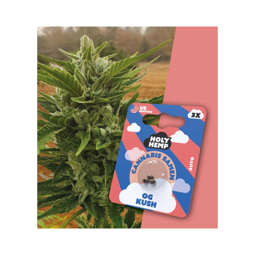 OG Kush Autoflowering Cannabis Samen (20-25% THC) Produktcover